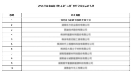 湖南中伟新能源获评湖南省原材料工业“三品”标杆企业以创新赋能高质量发展